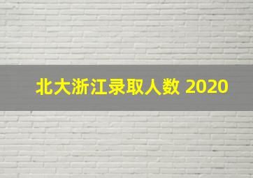 北大浙江录取人数 2020